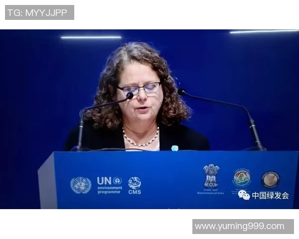 全球足球明星的数量与影响力探讨及其背后的故事