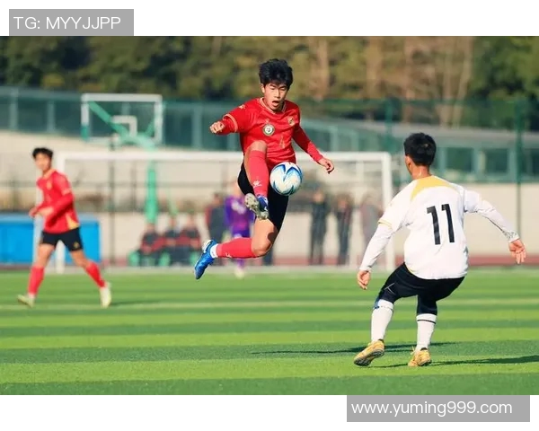 法语国家的足球巨星们如何在绿茵场上书写传奇故事 法语国家的足球巨星们如何在绿茵场上书写传奇故事