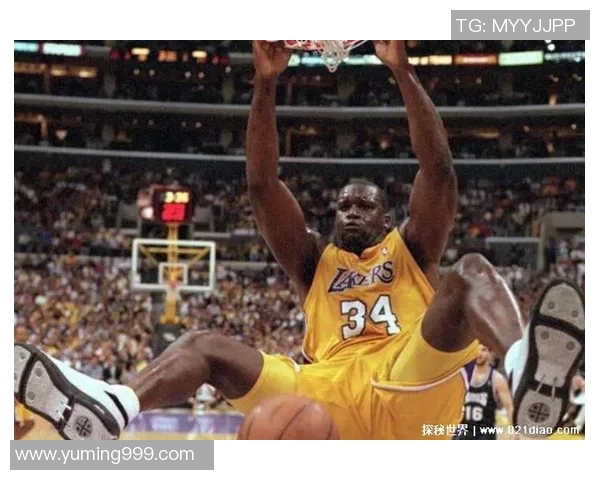 全球知名篮球明星盘点他们的成就与影响力分析 全球知名篮球明星盘点他们的成就与影响力分析