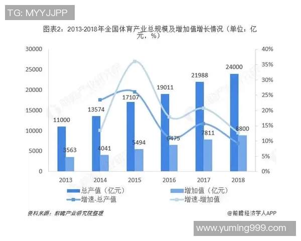 中国十大体育品牌全景解析与市场前景展望